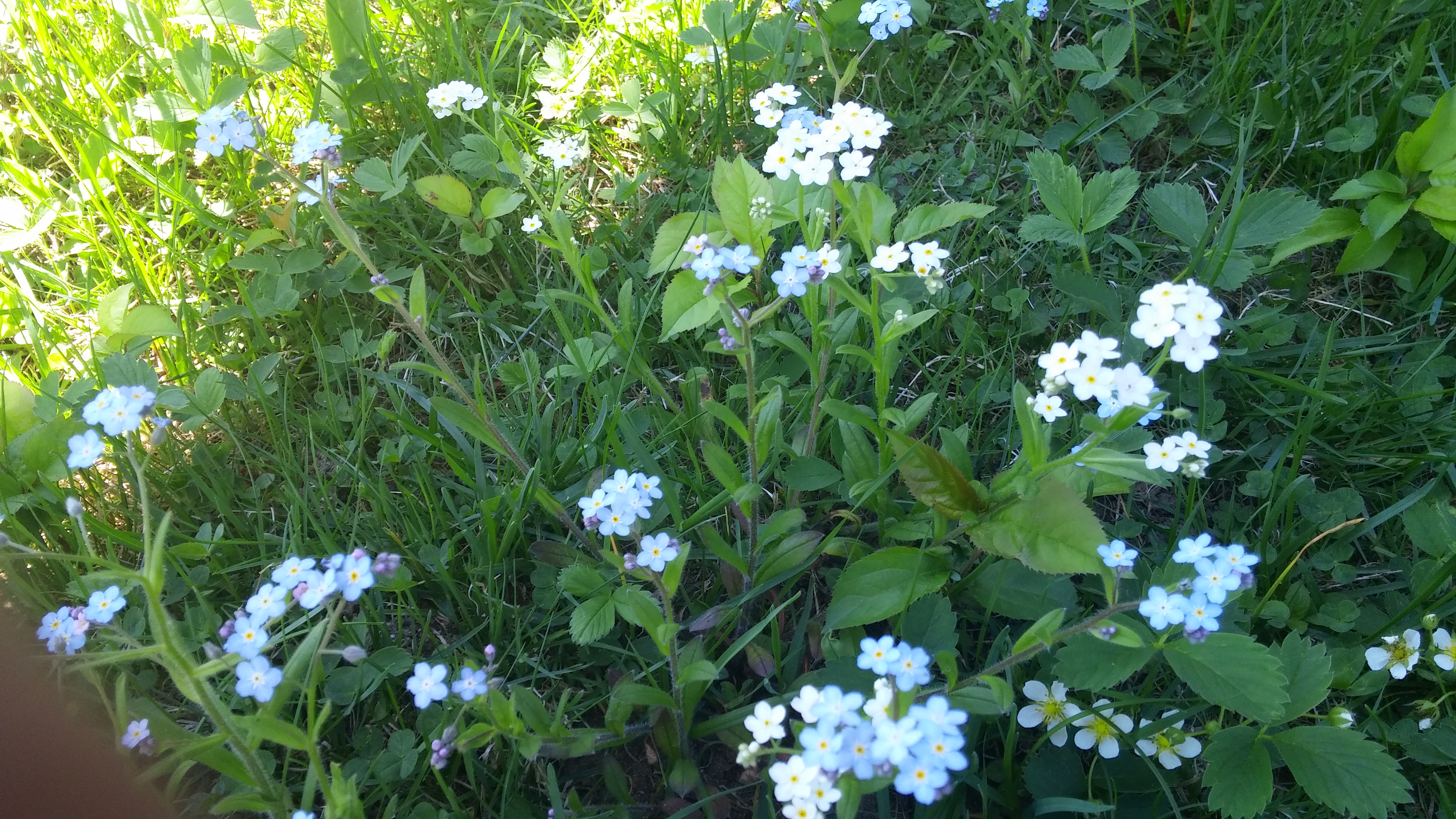 20180529_152440